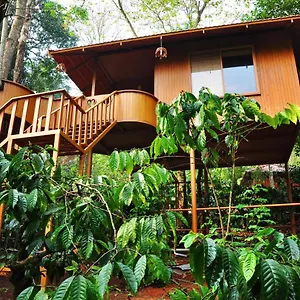 Planet Plantation Resorts, Wayanad, Kerala Resort